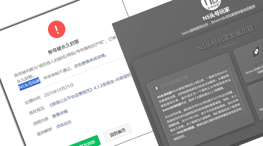 NS头号玩家网站